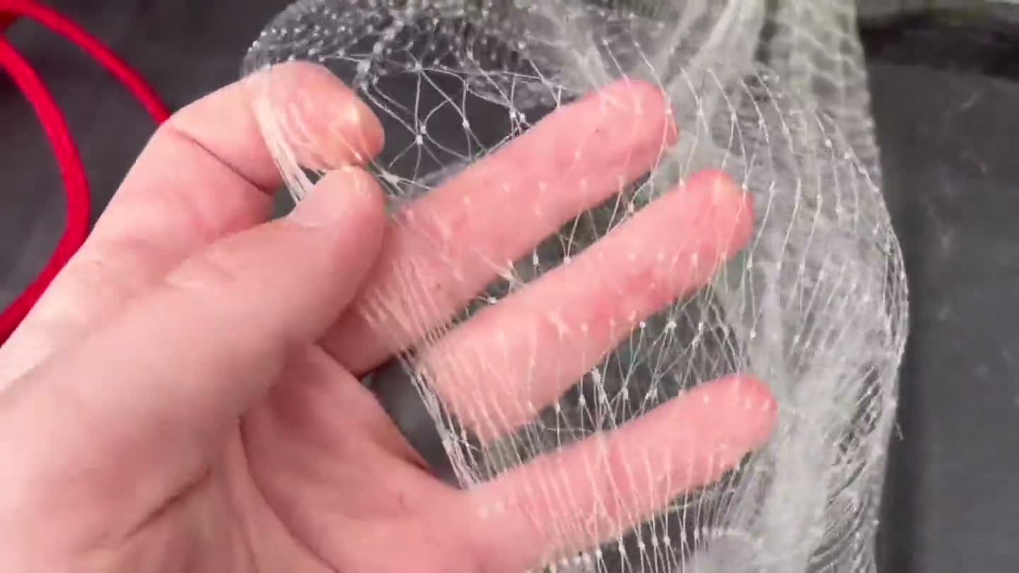 Customer Unboxing & Mesh Close-Up